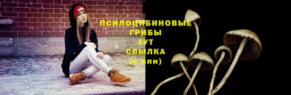 дживик Наволоки