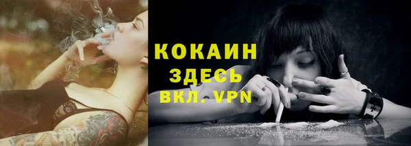стафф Бронницы