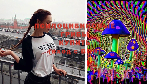 Альфа ПВП Бугульма