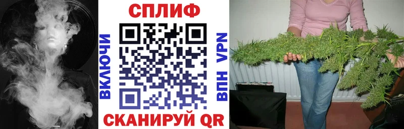 Марихуана сатива  купить закладку  Омск 
